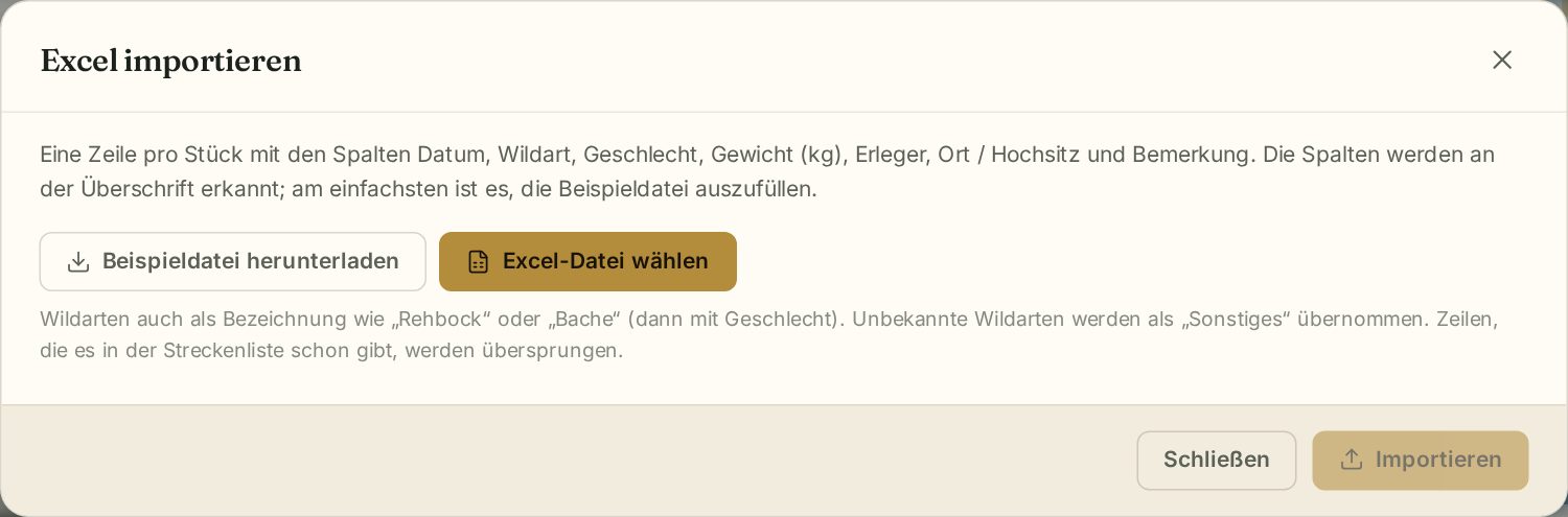 Excel importieren